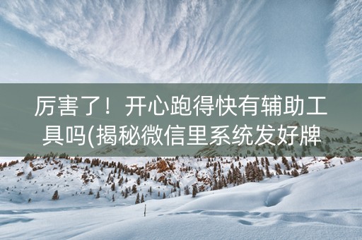 厉害了！开心跑得快有辅助工具吗(揭秘微信里系统发好牌)