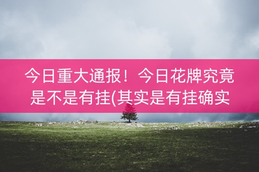 今日重大通报！今日花牌究竟是不是有挂(其实是有挂确实有挂)