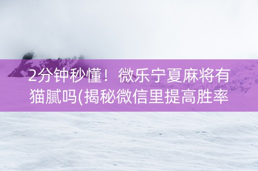 2分钟秒懂！微乐宁夏麻将有猫腻吗(揭秘微信里提高胜率)