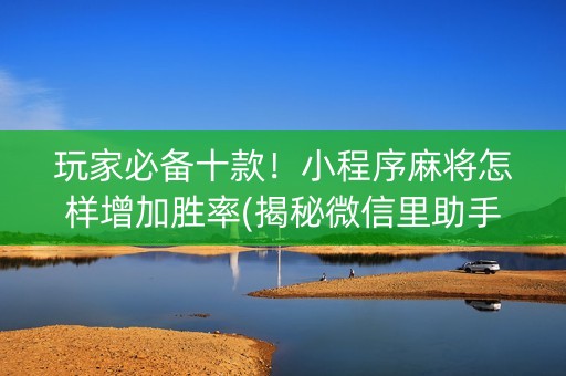 玩家必备十款！小程序麻将怎样增加胜率(揭秘微信里助手软件)