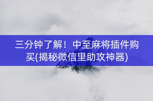 三分钟了解！中至麻将插件购买(揭秘微信里助攻神器)