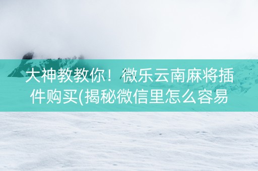 大神教教你！微乐云南麻将插件购买(揭秘微信里怎么容易赢)