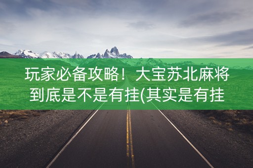 玩家必备攻略！大宝苏北麻将到底是不是有挂(其实是有挂的)