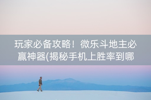 玩家必备攻略！微乐斗地主必赢神器(揭秘手机上胜率到哪调)