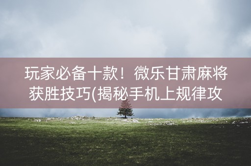 玩家必备十款！微乐甘肃麻将获胜技巧(揭秘手机上规律攻略)