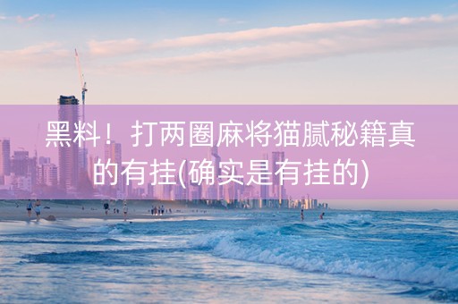 黑料！打两圈麻将猫腻秘籍真的有挂(确实是有挂的)