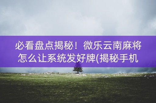 必看盘点揭秘！微乐云南麻将怎么让系统发好牌(揭秘手机上插件免费)