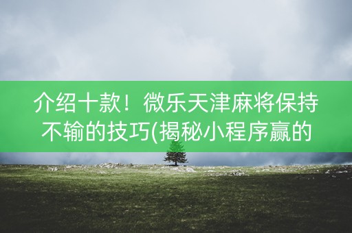 介绍十款！微乐天津麻将保持不输的技巧(揭秘小程序赢的秘诀)