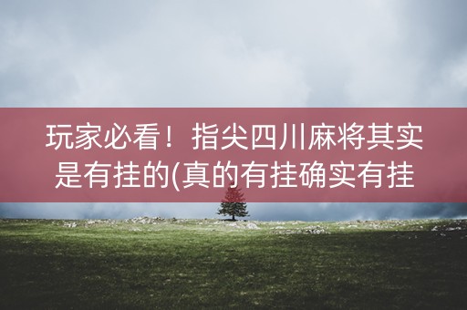玩家必看！指尖四川麻将其实是有挂的(真的有挂确实有挂)