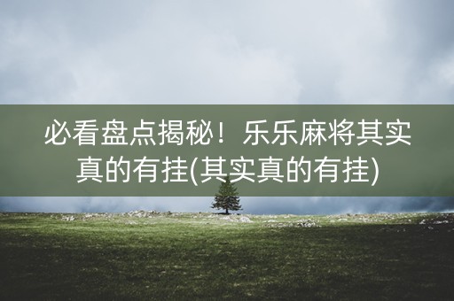 必看盘点揭秘！乐乐麻将其实真的有挂(其实真的有挂)