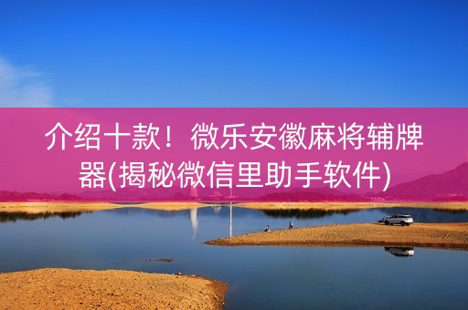 介绍十款！微乐安徽麻将辅牌器(揭秘微信里助手软件)