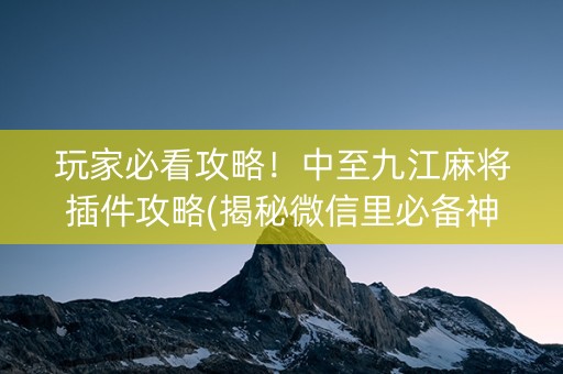 玩家必看攻略！中至九江麻将插件攻略(揭秘微信里必备神器)