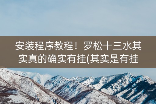 安装程序教程！罗松十三水其实真的确实有挂(其实是有挂的)