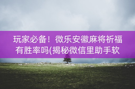玩家必备！微乐安徽麻将祈福有胜率吗(揭秘微信里助手软件)