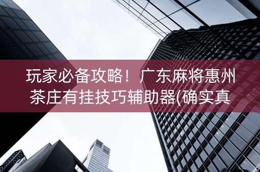 玩家必备攻略！广东麻将惠州茶庄有挂技巧辅助器(确实真有挂)