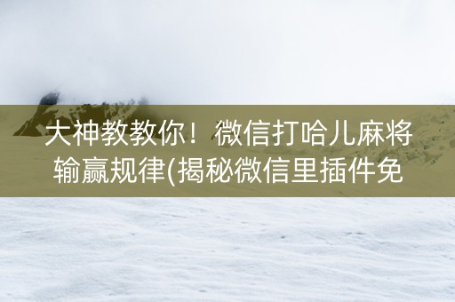 大神教教你！微信打哈儿麻将输赢规律(揭秘微信里插件免费)