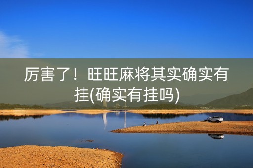 厉害了！旺旺麻将其实确实有挂(确实有挂吗)