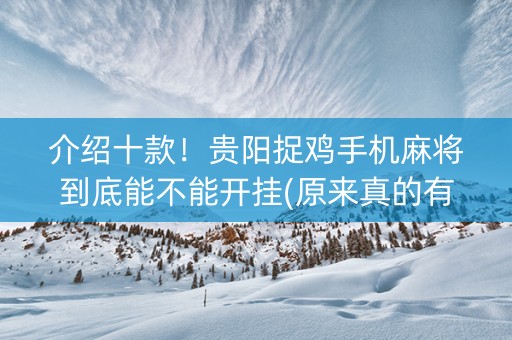 介绍十款！贵阳捉鸡手机麻将到底能不能开挂(原来真的有挂)