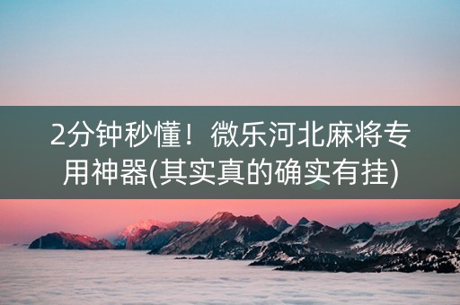 2分钟秒懂！微乐河北麻将专用神器(其实真的确实有挂)