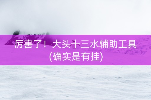 厉害了！大头十三水辅助工具(确实是有挂)
