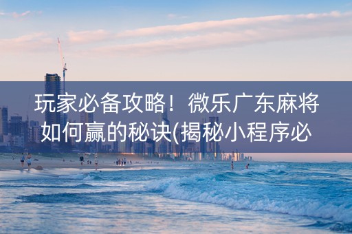 玩家必备攻略！微乐广东麻将如何赢的秘诀(揭秘小程序必备神器)