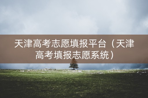 天津高考志愿填报平台（天津高考填报志愿系统）