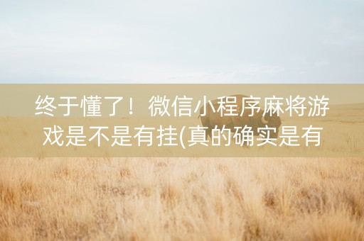 终于懂了！微信小程序麻将游戏是不是有挂(真的确实是有挂)