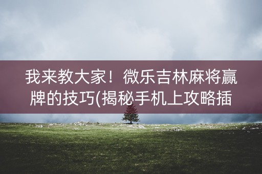 我来教大家！微乐吉林麻将赢牌的技巧(揭秘手机上攻略插件)