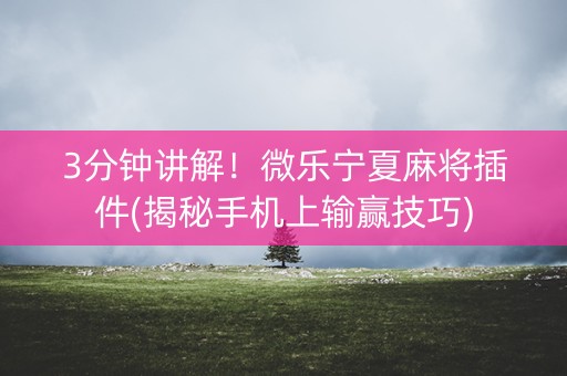 3分钟讲解！微乐宁夏麻将插件(揭秘手机上输赢技巧)