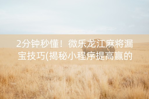 2分钟秒懂！微乐龙江麻将漏宝技巧(揭秘小程序提高赢的概率)