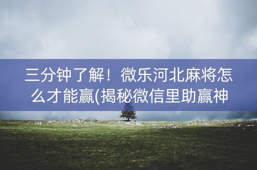 三分钟了解！微乐河北麻将怎么才能赢(揭秘微信里助赢神器)