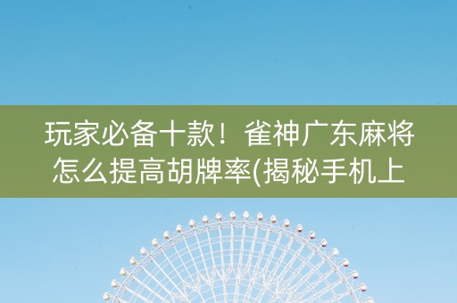 玩家必备十款！雀神广东麻将怎么提高胡牌率(揭秘手机上提高赢的概率)