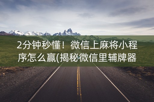 2分钟秒懂！微信上麻将小程序怎么赢(揭秘微信里辅牌器)
