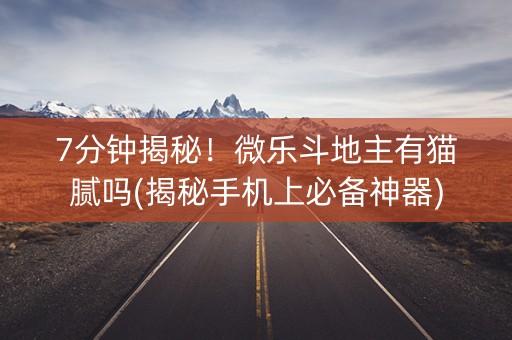 7分钟揭秘！微乐斗地主有猫腻吗(揭秘手机上必备神器)