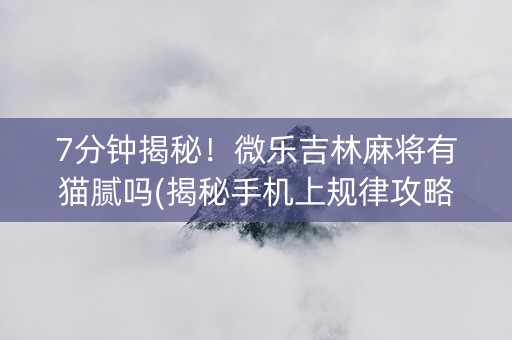 7分钟揭秘！微乐吉林麻将有猫腻吗(揭秘手机上规律攻略)
