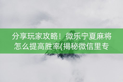 分享玩家攻略！微乐宁夏麻将怎么提高胜率(揭秘微信里专用神器)