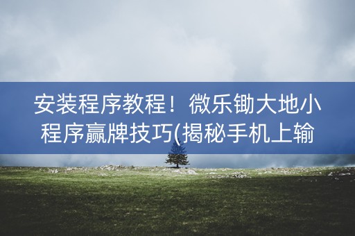 安装程序教程！微乐锄大地小程序赢牌技巧(揭秘手机上输赢技巧)
