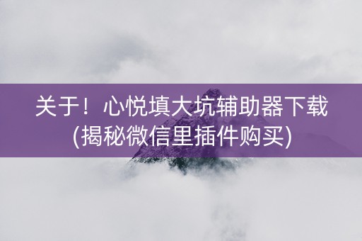 关于！心悦填大坑辅助器下载(揭秘微信里插件购买)