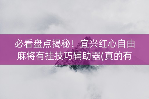 必看盘点揭秘！宜兴红心自由麻将有挂技巧辅助器(真的有挂)