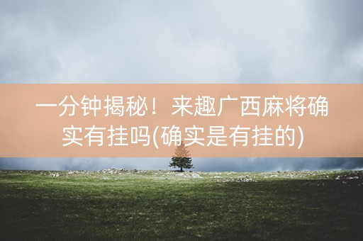 一分钟揭秘！来趣广西麻将确实有挂吗(确实是有挂的)
