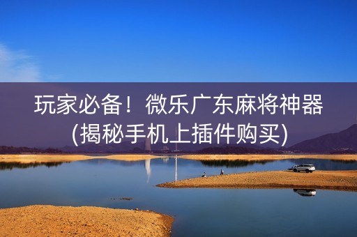 玩家必备！微乐广东麻将神器(揭秘手机上插件购买)