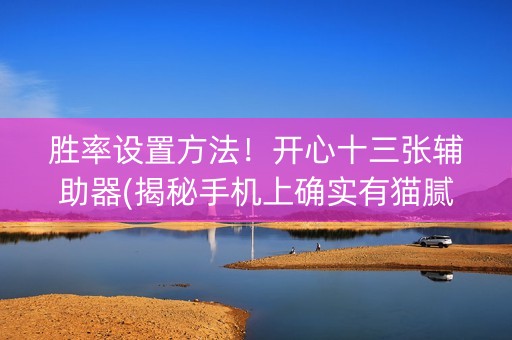 胜率设置方法！开心十三张辅助器(揭秘手机上确实有猫腻)