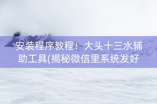 安装程序教程！大头十三水辅助工具(揭秘微信里系统发好牌)