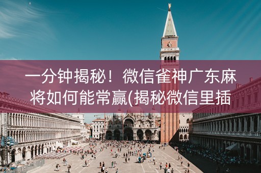 一分钟揭秘！微信雀神广东麻将如何能常赢(揭秘微信里插件购买)