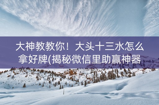 大神教教你！大头十三水怎么拿好牌(揭秘微信里助赢神器)
