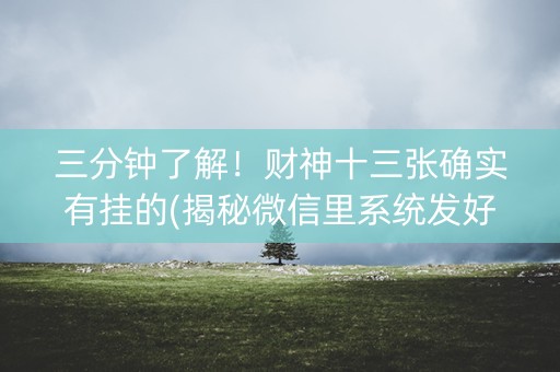三分钟了解！财神十三张确实有挂的(揭秘微信里系统发好牌)