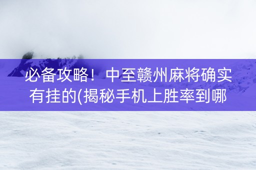 必备攻略！中至赣州麻将确实有挂的(揭秘手机上胜率到哪调)