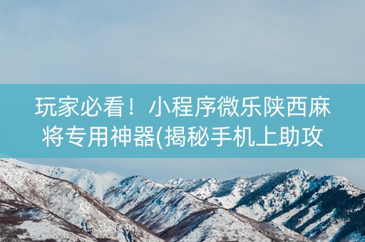 玩家必看！小程序微乐陕西麻将专用神器(揭秘手机上助攻神器)