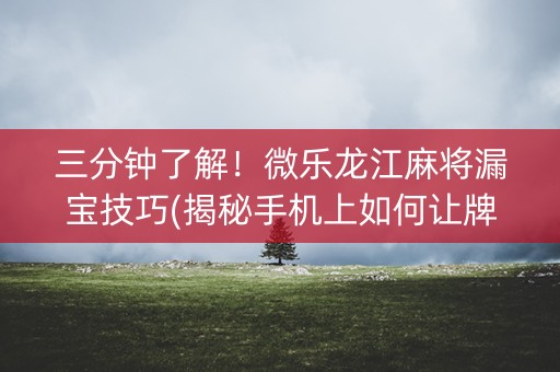 三分钟了解！微乐龙江麻将漏宝技巧(揭秘手机上如何让牌变好)