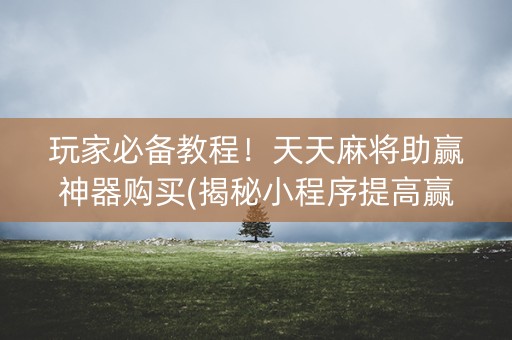 玩家必备教程！天天麻将助赢神器购买(揭秘小程序提高赢的概率)